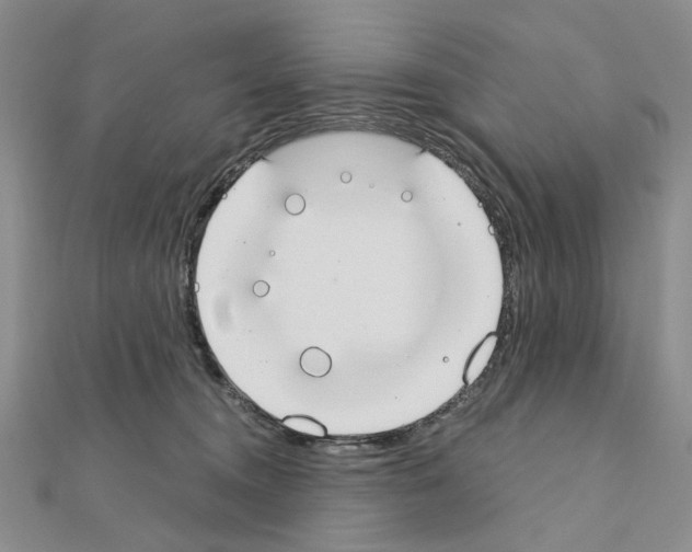 X0000110910372200907301547