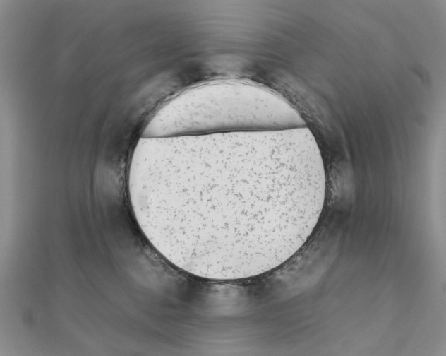 X0000110910376200907301547