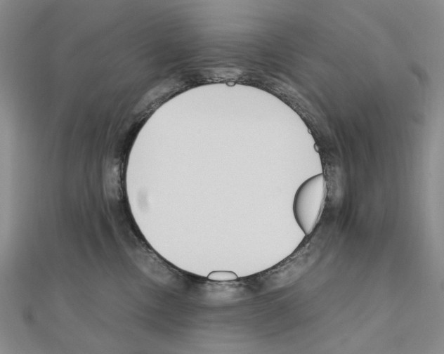 X0000110910378200907301547