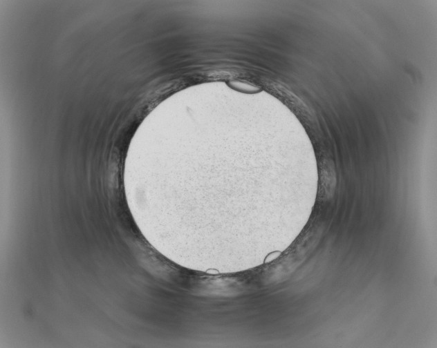 X0000110910379200907301547