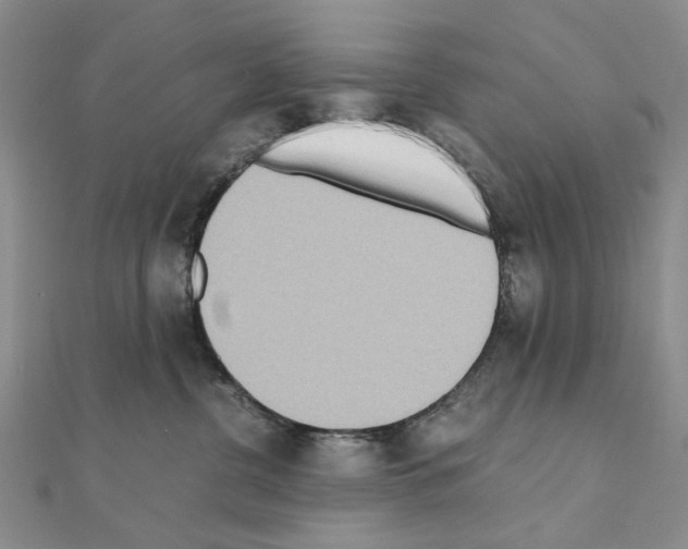 X0000110910380200907301547