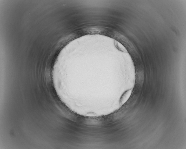 X0000110910381200907301547