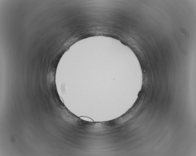 X0000110910382200907301547