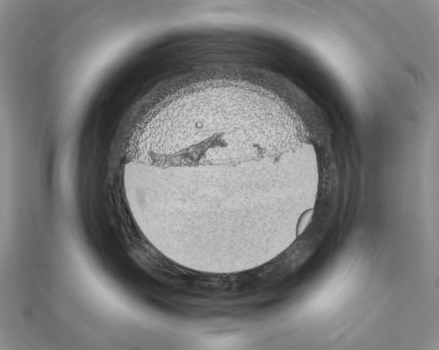 X0000110910383200907301547