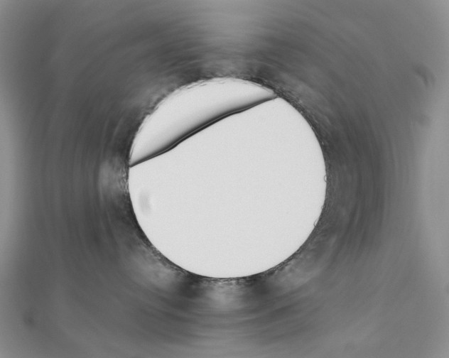 X0000110910384200907301547