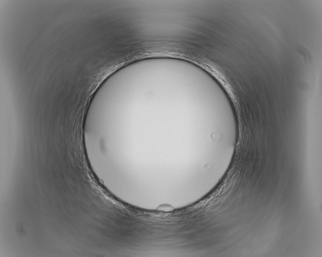 X0000110910385200907301546