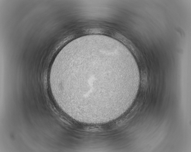 X0000110910386200907301546