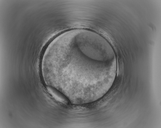 X0000110910387200907301546