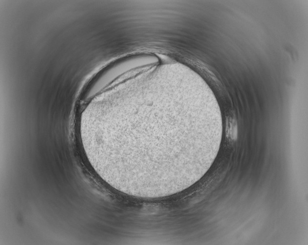 X0000110910388200907301546