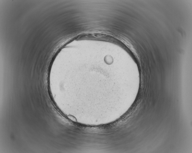 X0000110910389200907301546