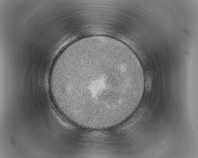 X0000110910390200907301546