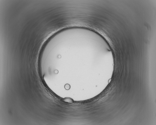 X0000110910391200907301546