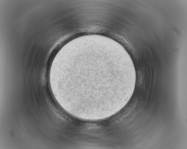 X0000110910392200907301546