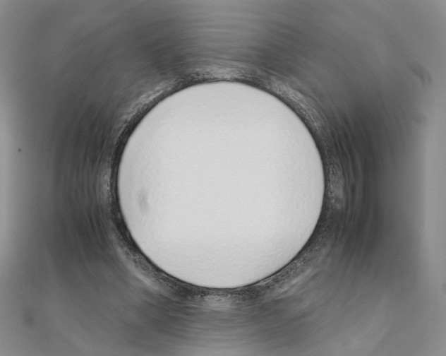 X0000110910394200907301546