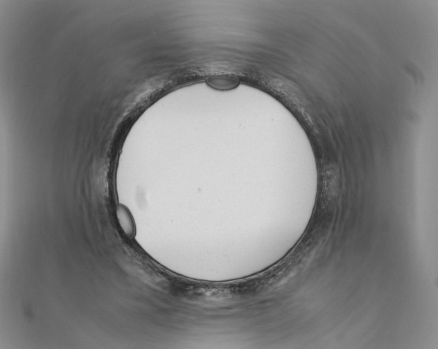 X0000110910395200907301546