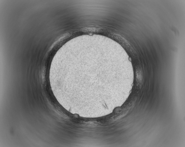 X0000110910396200907301546