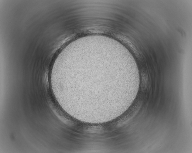 X0000110910398200907301546