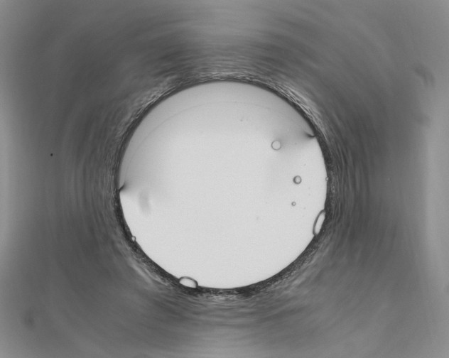 X0000110910401200907301546