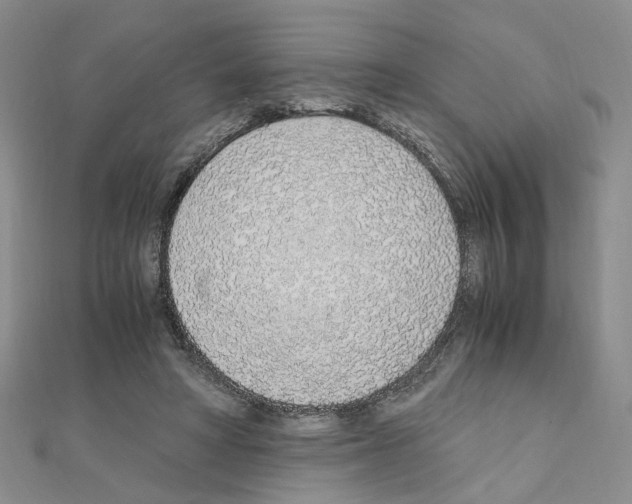 X0000110910402200907301546