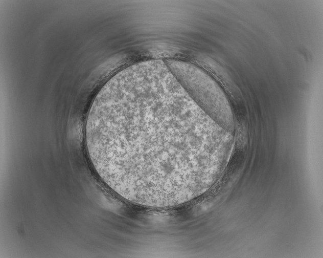 X0000110910405200907301546