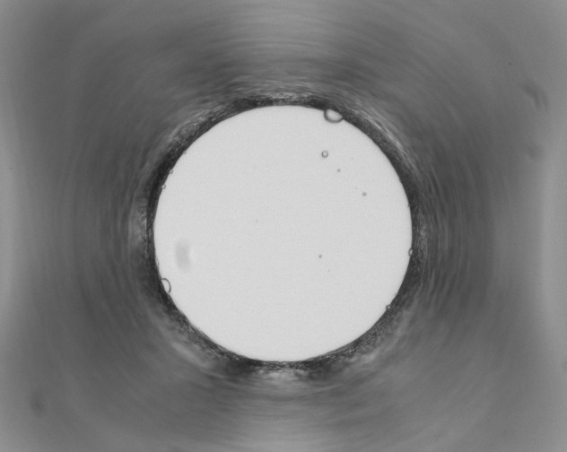 X0000110910407200907301546