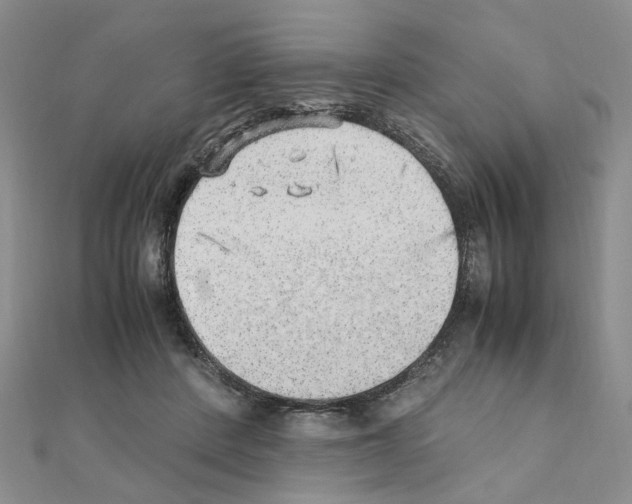 X0000110910408200907301546