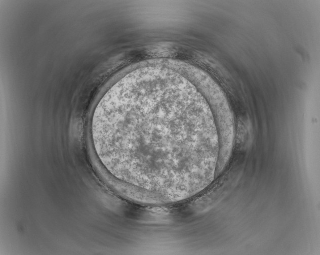 X0000110910409200907301546