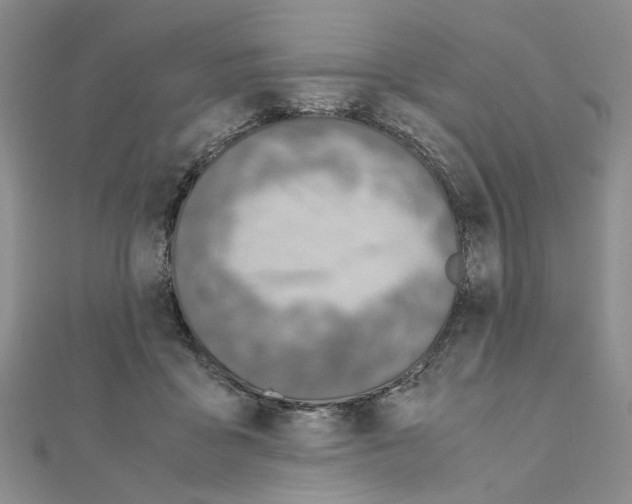 X0000110910411200907301546