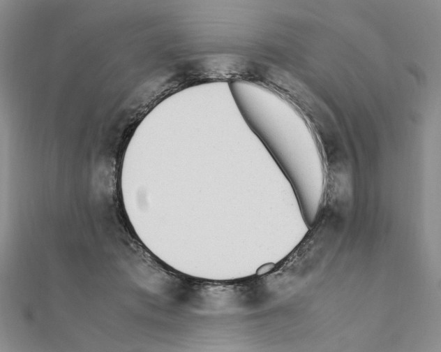 X0000110910413200907301546