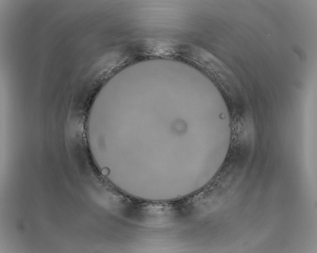 X0000110910415200907301546