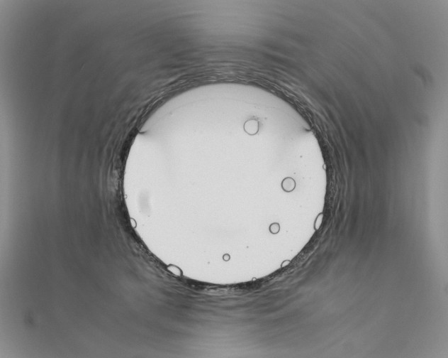 X0000110910417200907301546