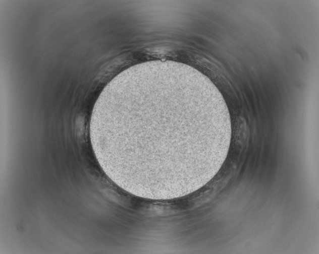 X0000110910420200907301545