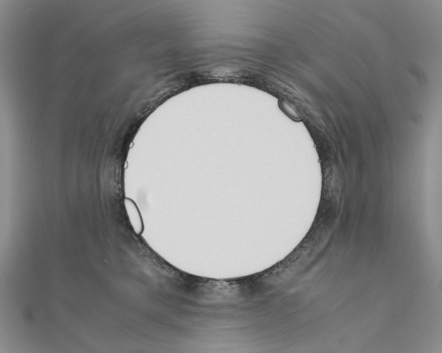 X0000110910421200907301545