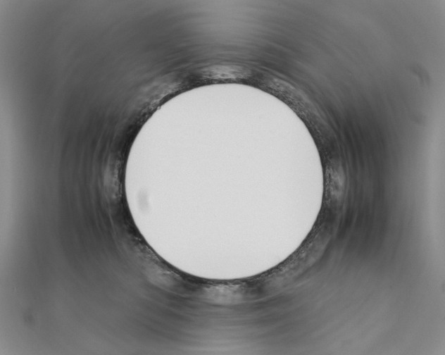 X0000110910422200907301545