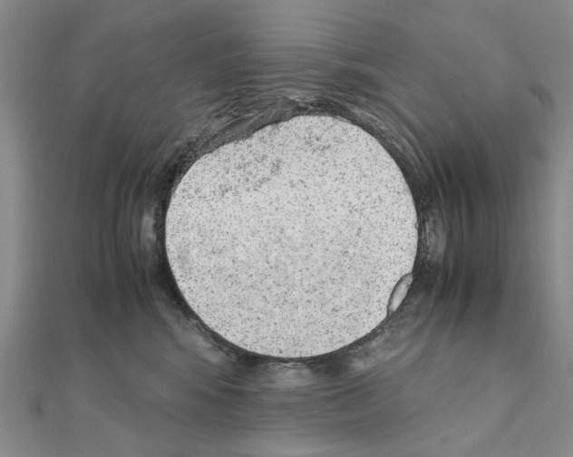 X0000110910424200907301545