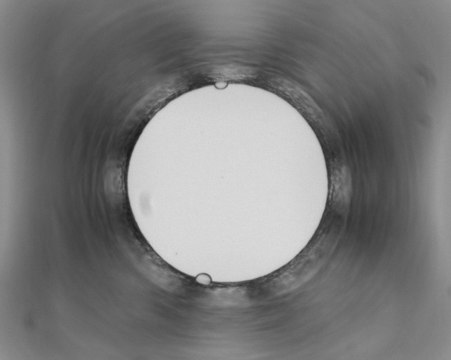 X0000110910426200907301545