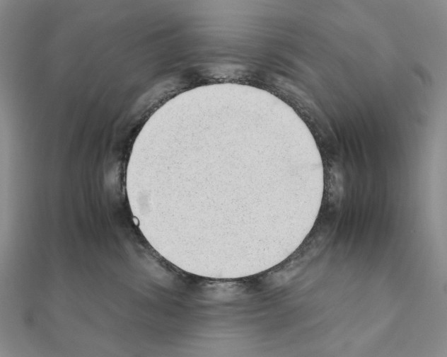 X0000110910428200907301545