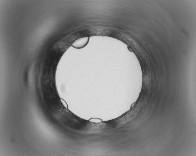 X0000110910429200907301545