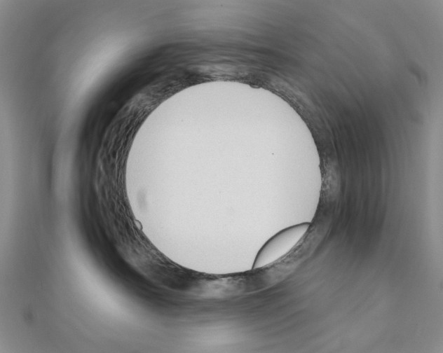 X0000110910430200907301545