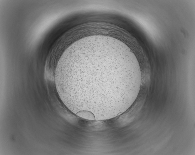 X0000110910431200907301545