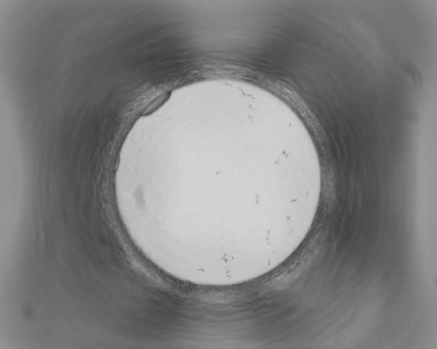 X0000110910433200907301545