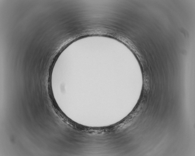 X0000110910434200907301545