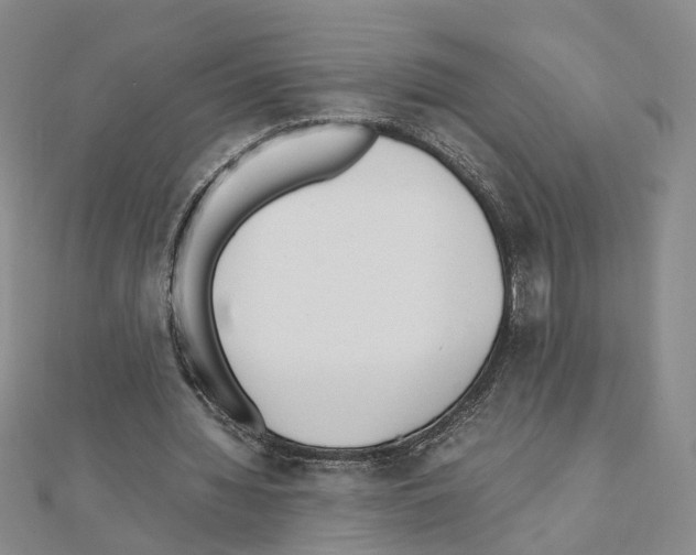 X0000110910436200907301545