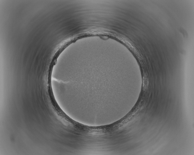 X0000110910438200907301545