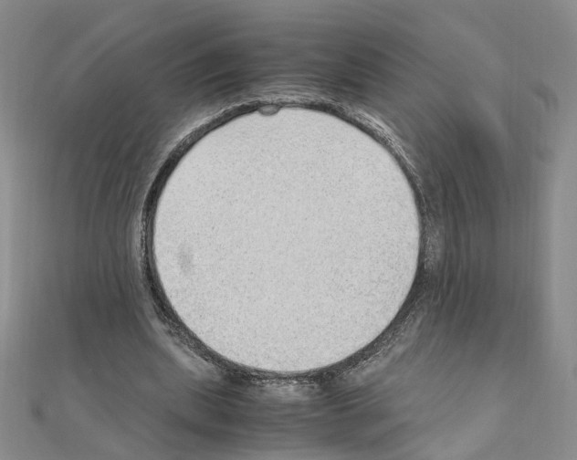 X0000110910439200907301545