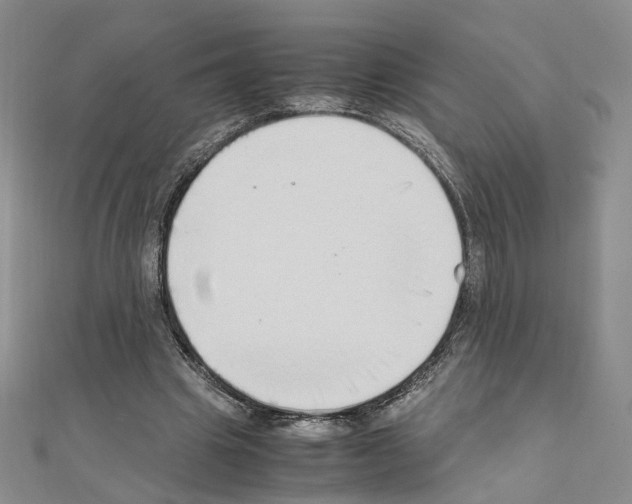 X0000110910441200907301545