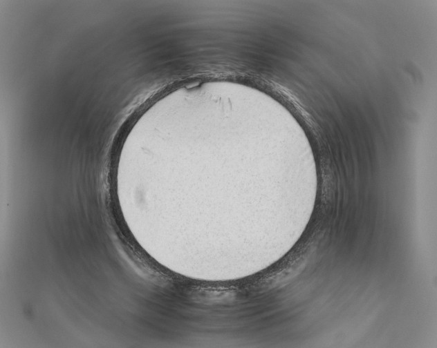 X0000110910443200907301545