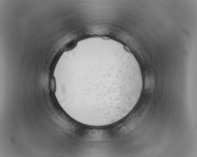 X0000110910444200907301545