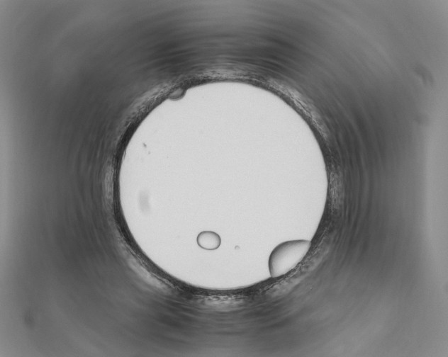 X0000110910445200907301545