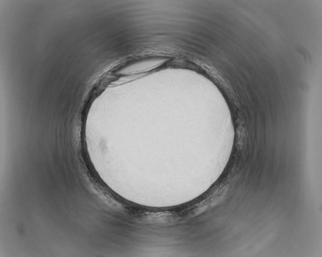 X0000110910446200907301545